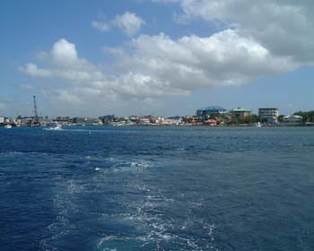 DSCF0078