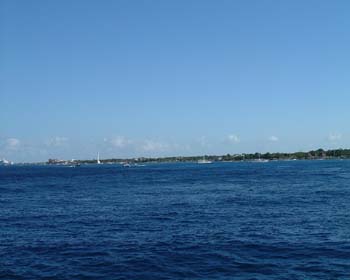 DSCF0081