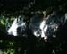 DSCF0022