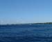DSCF0081