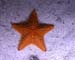 DSCF0092
