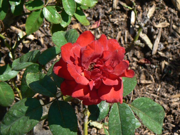 P1000534