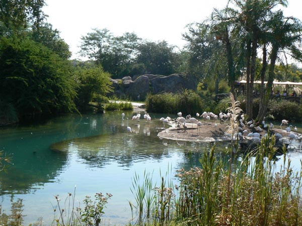 P1000637