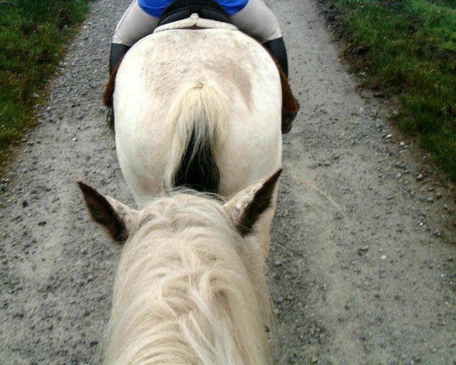 027_view from the saddle