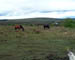 015_Ireland