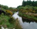 031_Ireland