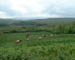 032_Ireland