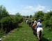 078_in the Burren