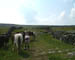 109_Ireland